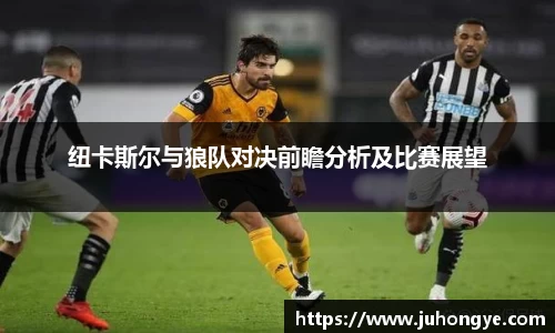纽卡斯尔与狼队对决前瞻分析及比赛展望